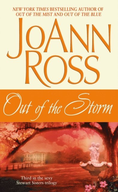 JoAnn Ross - Out of the Storm, E-bok