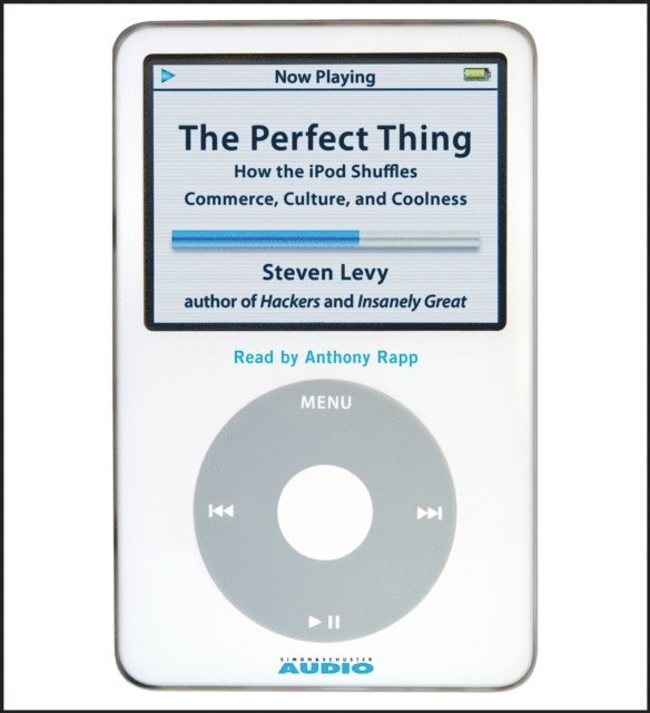 Steven Levy - Perfect Thing, Ljudbok