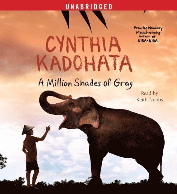 Cynthia Kadohata - Million Shades of Gray, Ljudbok