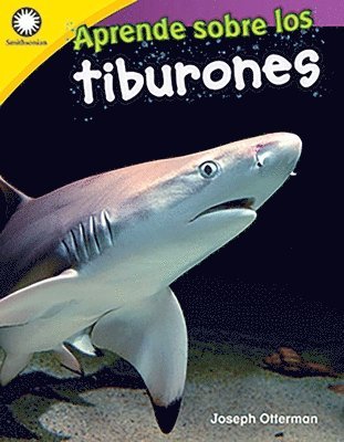 Joseph Otterman - Aprende sobre los tiburones, Häftad. Tillgänglighet: Lägg i varukorg