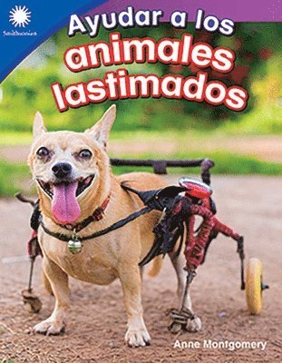 Anne Montgomery - Ayudar a Los Animales Lastimados, Häftad