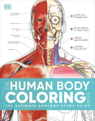 DK - The Human Body Coloring Book: The Ultimate Anatomy Study Guide, Second Edition, Häftad. Tillgänglighet: Lägg i varukorg