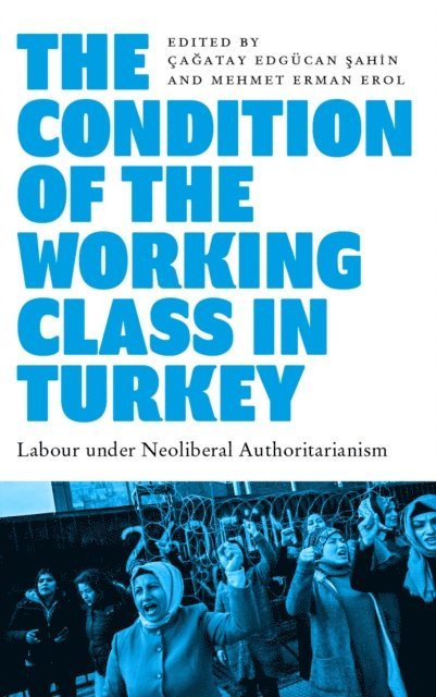Mehmet Erman Erol, Caatay Edgucan Sahin - Condition of the Working Class in Turkey, E-bok