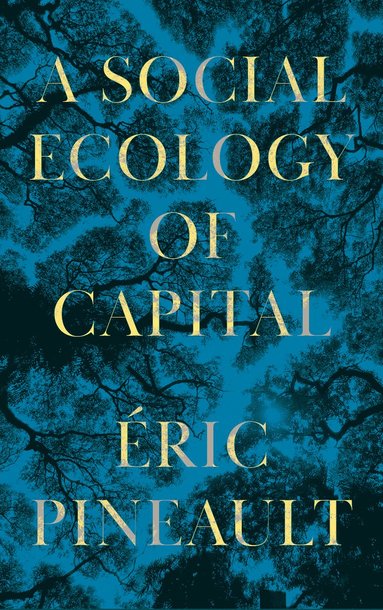 Social Ecology of Capital av Éric Pineault, Eric Pineault