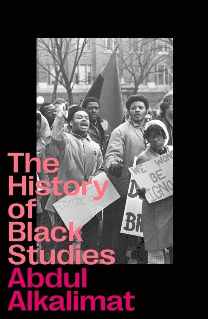 Abdul Alkalimat - History of Black Studies, E-bok