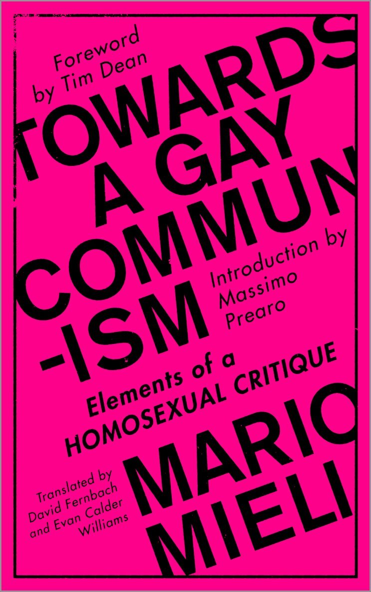 Mario Mieli - Towards a Gay Communism, Inbunden