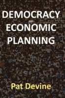 Pat Devine - Democracy and Economic Planning, Häftad