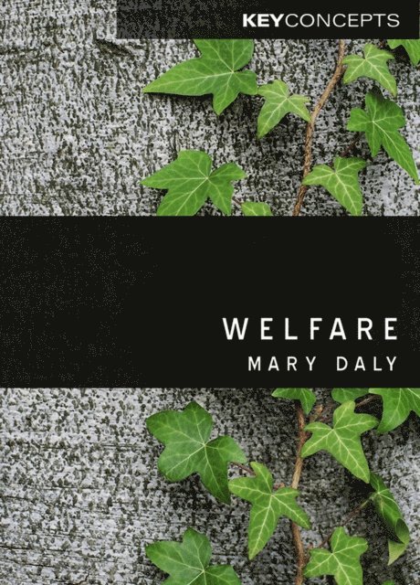 Mary Daly - Welfare, E-bok