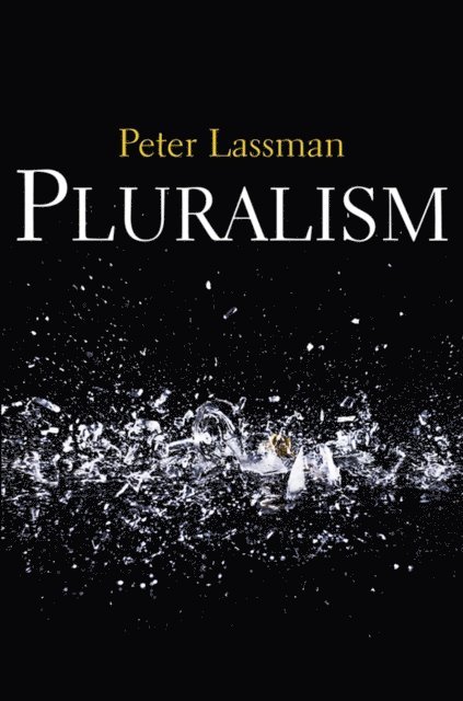 Peter Lassman - Pluralism, E-bok