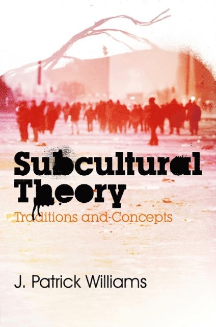 J. Patrick Williams - Subcultural Theory, E-bok