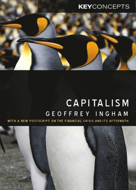 Geoffrey Ingham - Capitalism, E-bok