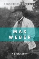 Max Weber av Joachim Radkau