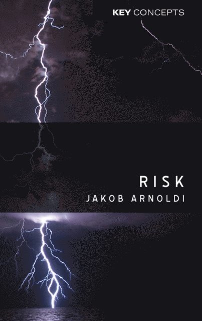 Jakob Arnoldi - Risk, E-bok