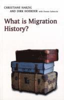 What is Migration History?