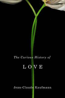 Jean-Claude Kaufmann - Curious History of Love, Inbunden