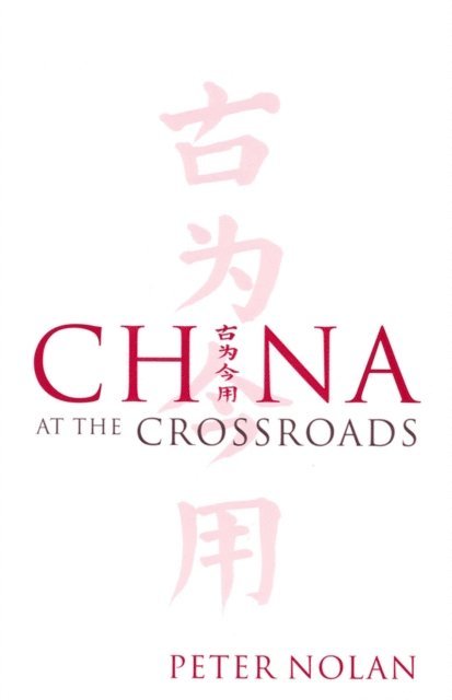 Peter Nolan - China at the Crossroads, E-bok