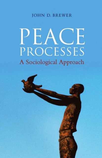 John D. Brewer - Peace Processes, E-bok