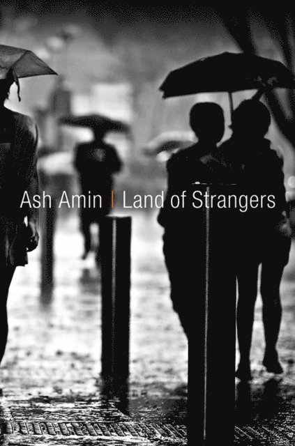 Ash Amin - Land of Strangers, E-bok