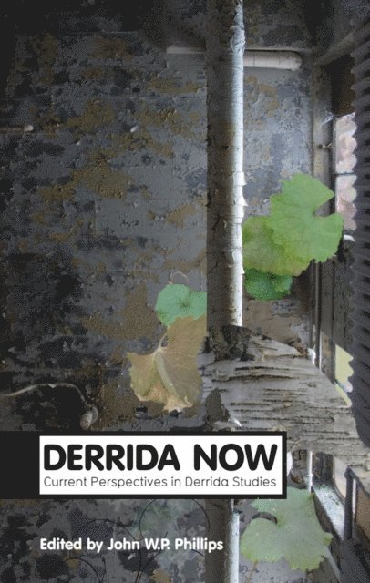 John W. P. Phillips - Derrida Now, E-bok