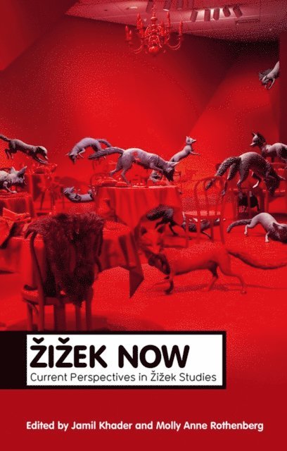 Molly Anne Rothenberg, Jamil Khader - Zizek Now, E-bok