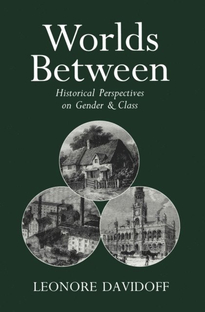Leonore Davidoff - Worlds Between, E-bok