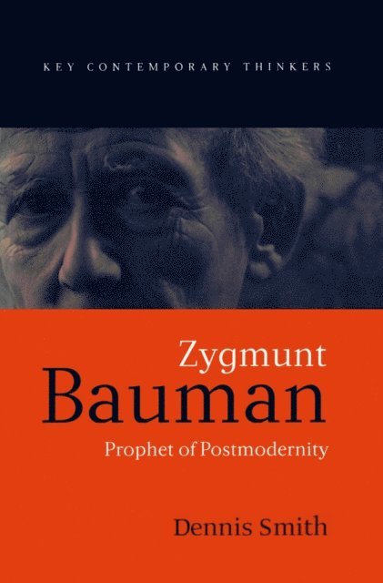 Dennis Smith - Zygmunt Bauman, E-bok