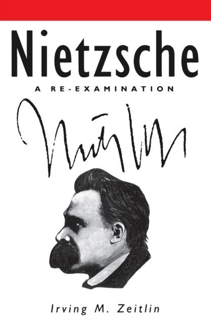 Irving M. Zeitlin - Nietzsche, E-bok