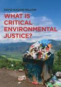 What is Critical Environmental Justice?