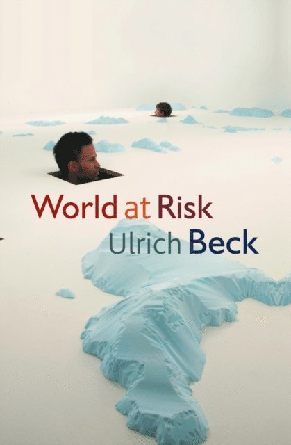 Ulrich Beck - World at Risk, E-bok