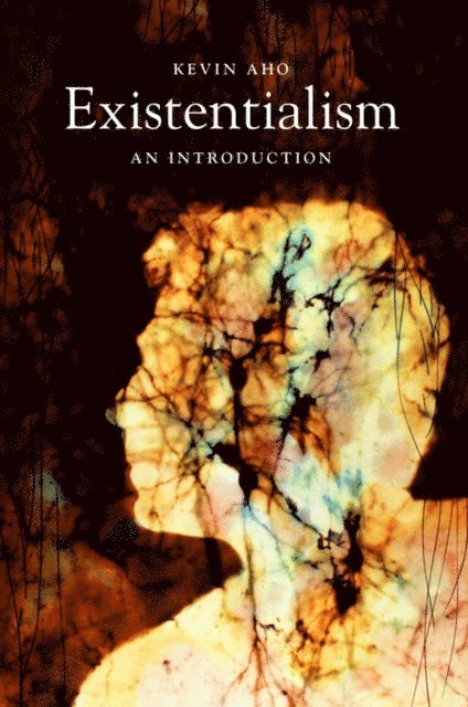 Kevin Aho - Existentialism, E-bok
