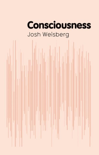 Josh Weisberg - Consciousness, E-bok