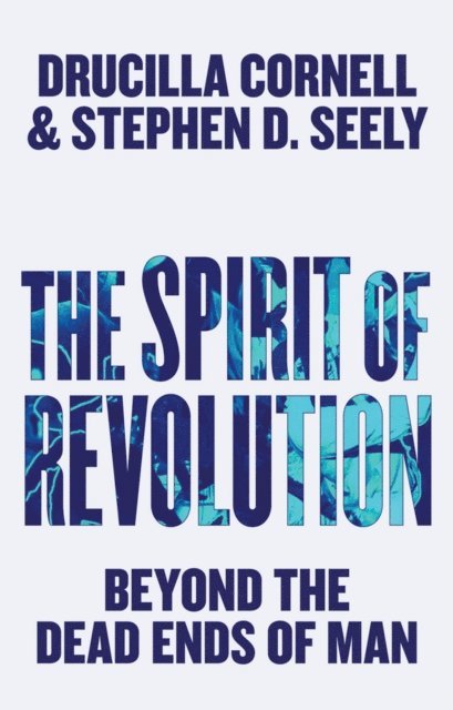Stephen D. Seely, Drucilla Cornell - Spirit of Revolution, E-bok