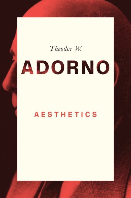 Theodor W. Adorno, Eberhard Ortland - Aesthetics, E-bok