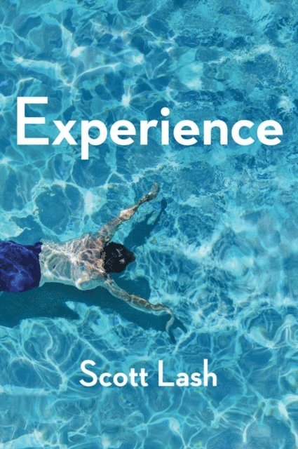 Scott Lash - Experience, E-bok
