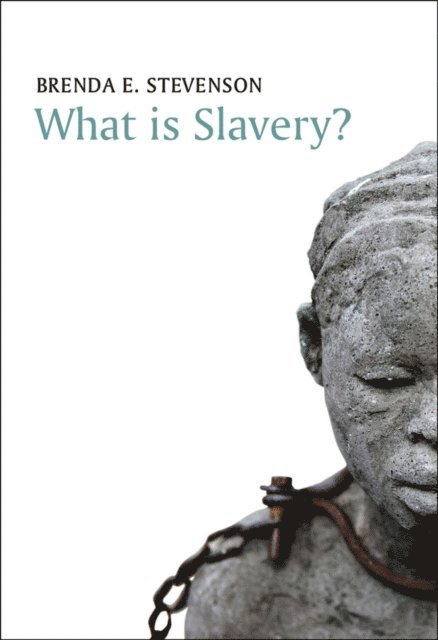 Brenda E. Stevenson - What is Slavery?, E-bok