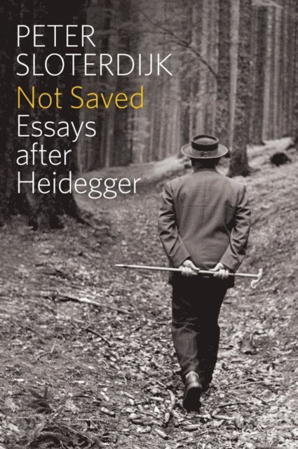 Peter Sloterdijk - Not Saved, E-bok