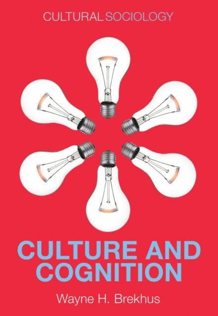 Wayne H. Brekhus - Culture and Cognition, E-bok