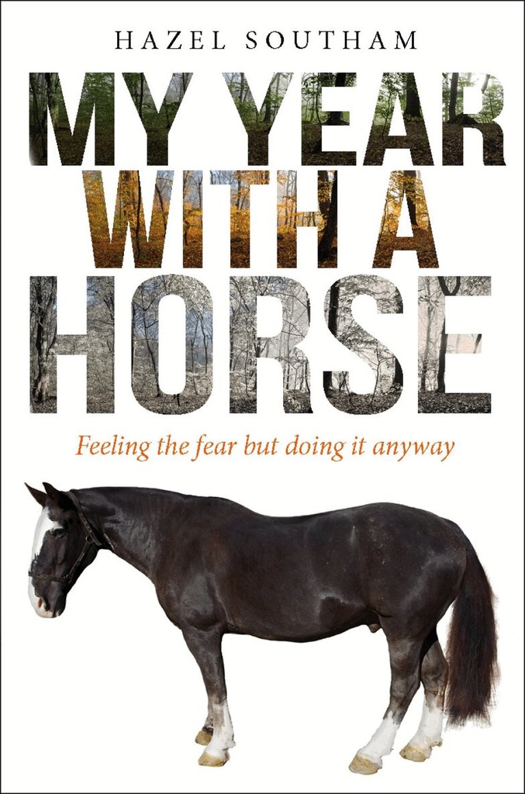 My Year With a Horse