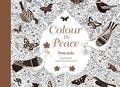 Colour in Peace Postcards