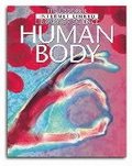 Human Body