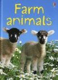 Farm Animals