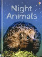 Night Animals