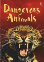 Dangerous Animals