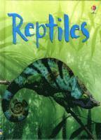 Reptiles