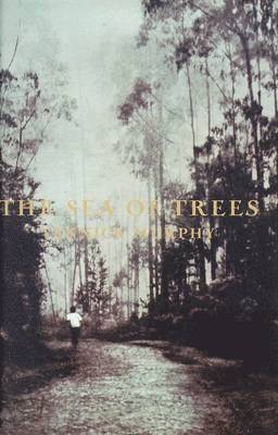 Yannick Murphy - Sea of Trees, Häftad