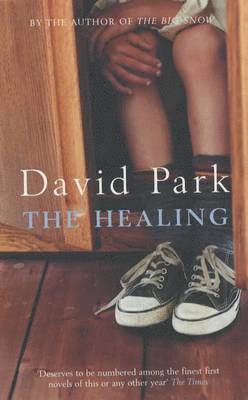 David Park - Healing, Häftad
