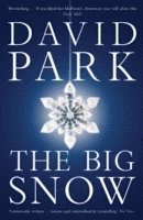 David Park - Big Snow, Häftad