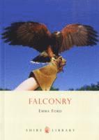 Falconry