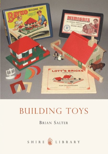 Brian Salter - Building Toys, E-bok