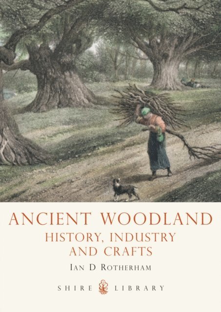 Ian Rotherham - Ancient Woodland, E-bok